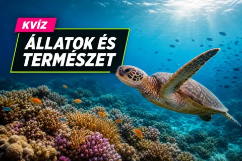 Kvíz: élővilág és természet – a koalától a korallzátonyig tudod, melyik állítás igaz?
