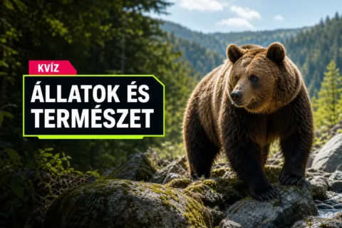 Kvíz: európai állatvilág – el tudod dönteni, mi él valójában Európában?