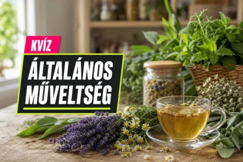 Kvíz: gyógynövények – össze tudod párosítani, melyiket mire használják?
