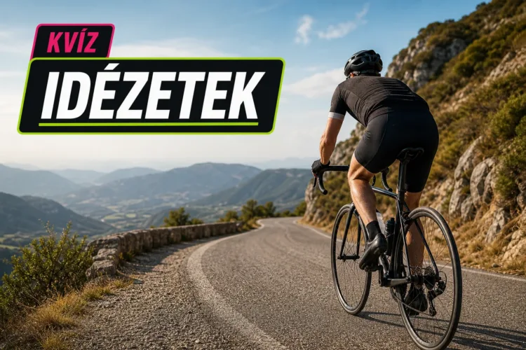 Kvíz: híres idézetek – meglesz a 9/10, ha felismered a forrásukat? Kvíz: híres idézetek – meglesz a 9/10, ha felismered a forrásukat?