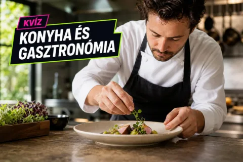 Kvíz: híres séfek – csak a legjobbak igazodnak el a díjak, címek és áttörések között