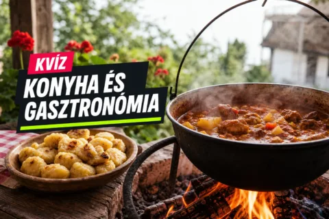 Kvíz: magyar konyha – tudod, melyikhez mi tartozik a dödöllétől a bakonyiig?