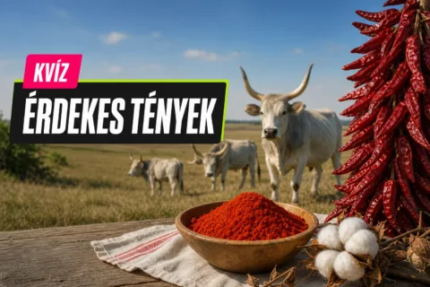 Kvíz: magyar termőtájak – össze tudod párosítani a tájakat azzal, amiről híresek?
