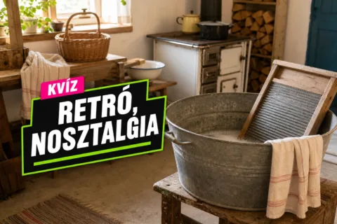 Kvíz: mosóteknőtől a sparheltig meg tudod mondani, mi tartozott a régi mindennapokhoz? Kvíz: mosóteknőtől a sparheltig meg tudod mondani, mi tartozott a régi mindennapokhoz?