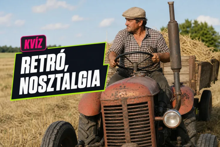 Kvíz: régi magyar kifejezések – elsőre tudod, mit jelentett a maszek, a téesz vagy a GMK? Kvíz: régi magyar kifejezések – elsőre tudod, mit jelentett a maszek, a téesz vagy a GMK?