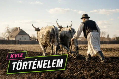 Kvíz: történelmi fogalmak és fordulópontok – meglesz a 10/10?