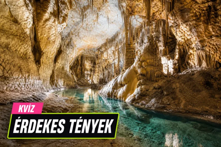 Kvíz: tudod, melyik barlang, élőlény vagy jelenség rejtőzik a leírás mögött? Kvíz: tudod, melyik barlang, élőlény vagy jelenség rejtőzik a leírás mögött?
