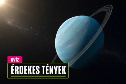 Kvíz: tudományos érdekességek, amik képtelenségnek hangzanak – meglesz a 7/10?