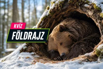 Kvíz: világföldrajz és állatvilág – el tudod dönteni, melyik állítás igaz? Kvíz: világföldrajz és állatvilág – el tudod dönteni, melyik állítás igaz?