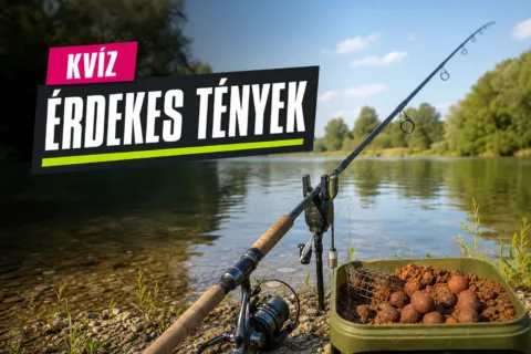 Magyar horgászat kvíz: csak a legjobbak igazodnak el a bojlitól a tilalmi időig