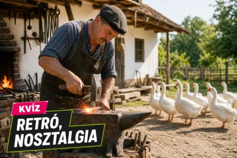 Magyar közmondások kvíz: össze tudod párosítani a közmondásokat a valódi jelentésükkel?