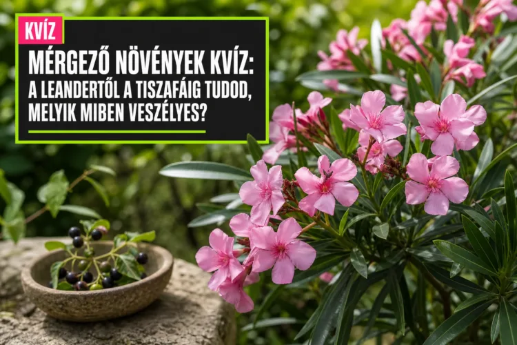 Mérgező növények kvíz: a leandertől a tiszafáig tudod, melyik miben veszélyes? Mérgező növények kvíz: a leandertől a tiszafáig tudod, melyik miben veszélyes?