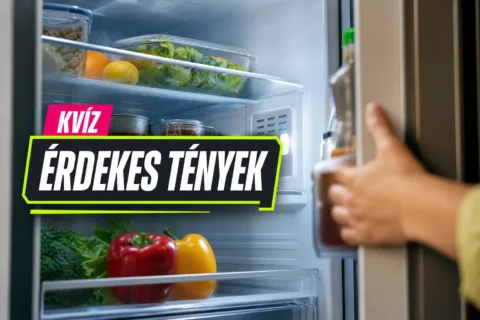 Mindennapi működések kvíz: el tudod magyarázni, mitől hűt, ragad, pezseg vagy lebeg?