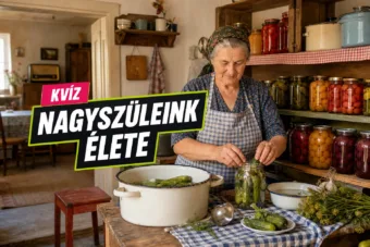 Nagyszüleink élete kvíz: tudod, mi számított akkoriban valóban hétköznapinak?