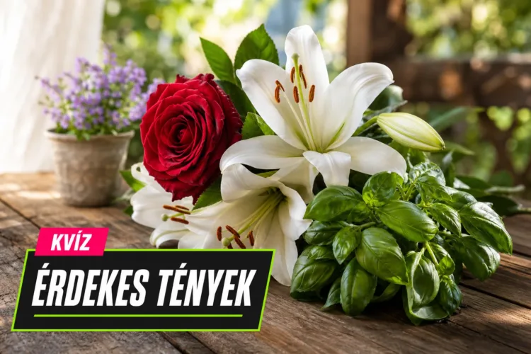 Növényszimbolika kvíz: meglesz 5 jó válasz abból, hogy mit jelképeznek ezek a növények? Növényszimbolika kvíz: meglesz 5 jó válasz abból, hogy mit jelképeznek ezek a növények?