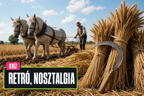 Régi falusi élet kvíz: el tudod dönteni, mi mire kellett a portán és a határban?