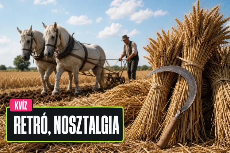 Régi falusi élet kvíz: el tudod dönteni, mi mire kellett a portán és a határban? Régi falusi élet kvíz: el tudod dönteni, mi mire kellett a portán és a határban?