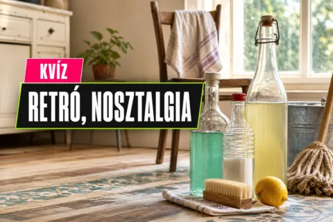 Régi házi tisztítószerek kvíz: tudod, melyik való üvegre, padlóra vagy bútorra?