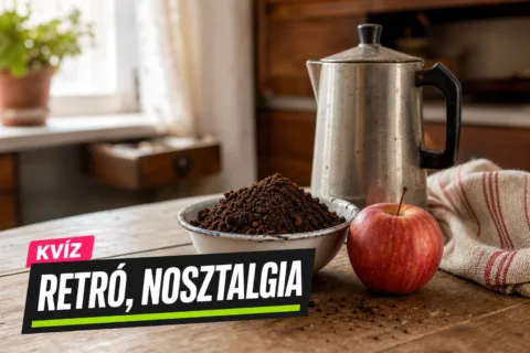 Régi háztartási praktikák kvíz: kitalálod, mit oldottak meg kávézaccal és egy almával?