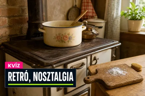 Régi háztartási praktikák kvíz: tudod, mire jó a rántás, a sparhelt és a dunsztolás?