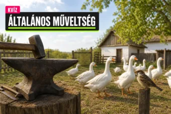 Régi magyar közmondások kvíz: félmondatból is pontosan tudod mind a tíz folytatását?