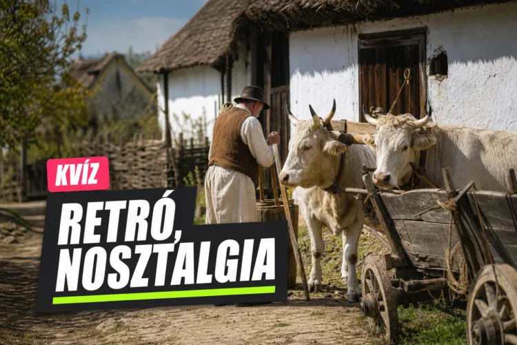 Régi magyar szavak kvíz: meglesz a 7/10, ha a mai jelentésük nem visz félre? Régi magyar szavak kvíz: meglesz a 7/10, ha a mai jelentésük nem visz félre?