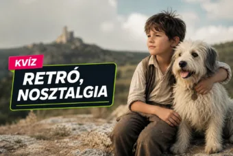 Retró mesék kvíz: Frakktól Pom Pomig meglesz a 6/10? Retró mesék kvíz: Frakktól Pom Pomig meglesz a 6/10?