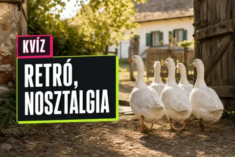 Szólások és közmondások kvíz: a pontos folytatás vagy a valódi jelentés lesz a nehezebb?