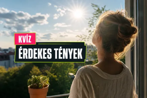 Tény vagy tévhit kvíz: kiszúrod, melyik közismert állítás csak hiedelem?