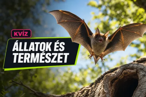 Természeti tények és tévhitek kvíz: el tudod dönteni, mi tény, és mi csak makacs tévhit?