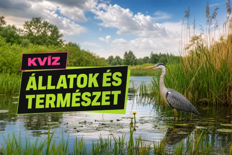 Természetismereti kvíz: az avartól a zivatarfelhőig meglesz a 8/10? Természetismereti kvíz: az avartól a zivatarfelhőig meglesz a 8/10?