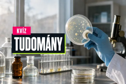 Tudományos felfedezések kvíz: el tudod különíteni a tévhiteket a valódi magyarázatoktól?