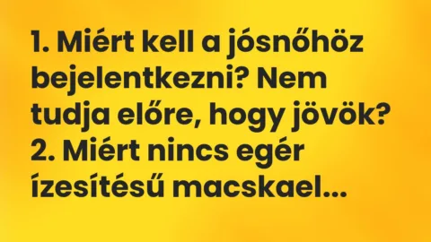 Vicc: 1. Miért kell a jósnőhöz bejelentkezni? Nem tudja előre, hogy jövök?