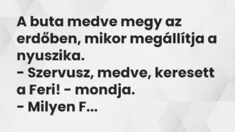 Vicc: A buta medve megy az erdőben, mikor megállítja a nyuszika…