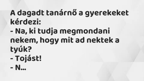 Vicc: A dagadt tanárnő a gyerekeket kérdezi:

– Na, ki tudja megmondani…