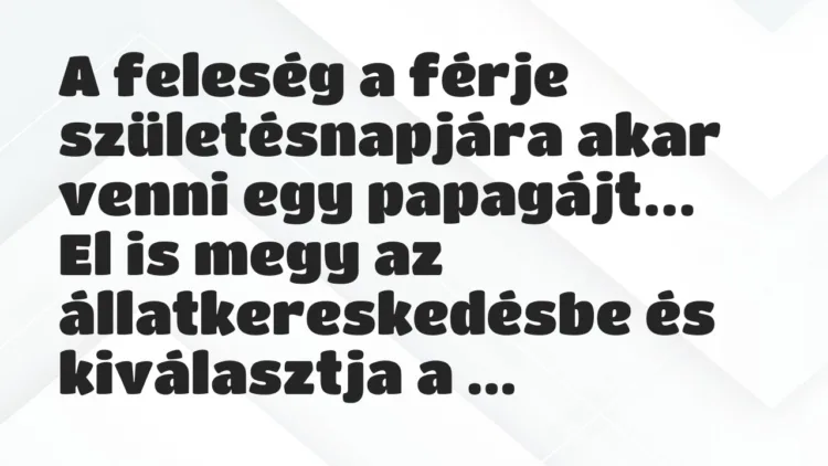 Vicc: A feleség a férje születésnapjára akar venni egy papagájt… Vicc: A feleség a férje születésnapjára akar venni egy papagájt…