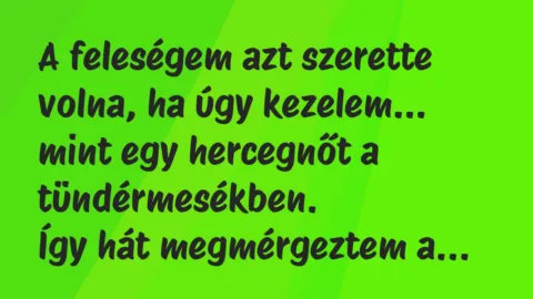 Vicc: A feleségem azt szerette volna, ha úgy kezelem, mint egy hercegnőt…