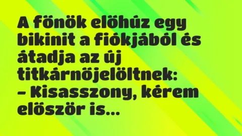 Vicc: A főnök előhúz egy bikinit a fiókjából és átadja az új…