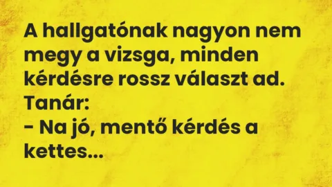 Vicc: A hallgatónak nagyon nem megy a vizsga, minden kérdésre rossz választ…