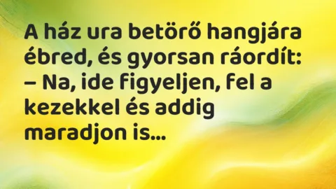 Vicc: A ház ura betörő hangjára ébred, és gyorsan ráordít…