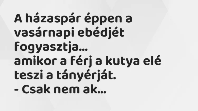 Vicc: A házaspár éppen a vasárnapi ebédjét fogyasztja, amikor a férj a kutya… Vicc: A házaspár éppen a vasárnapi ebédjét fogyasztja, amikor a férj a kutya…