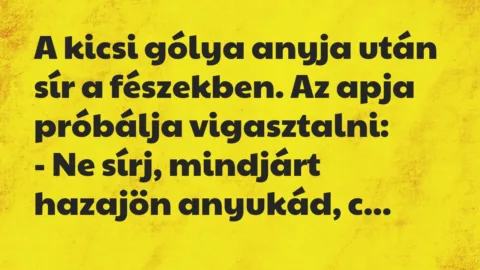 Vicc: A kicsi gólya anyja után sír a fészekben. Az apja próbálja vigasztalni…