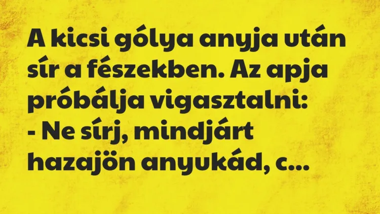 Vicc: A kicsi gólya anyja után sír a fészekben. Az apja próbálja vigasztalni… Vicc: A kicsi gólya anyja után sír a fészekben. Az apja próbálja vigasztalni…
