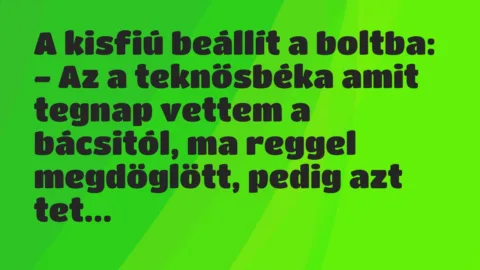 Vicc: A kisfiú beállít a boltba… Vicc: A kisfiú beállít a boltba…