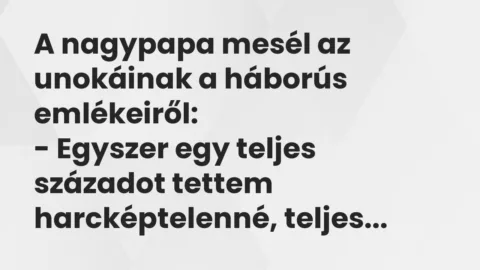 Vicc: A nagypapa mesél az unokáinak a háborús emlékeiről…