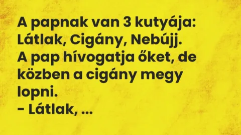 Vicc: A papnak van 3 kutyája: Látlak, Cigány, Nebújj…