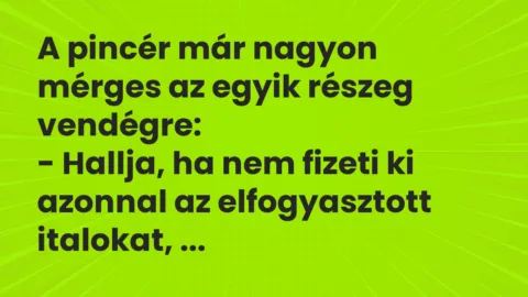 Vicc: A pincér már nagyon mérges az egyik részeg vendégre…