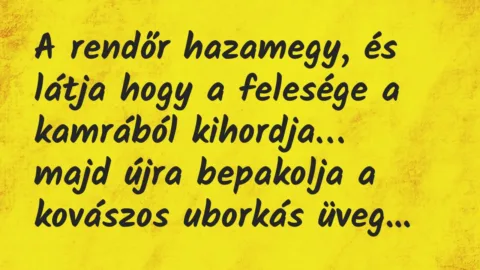 Vicc: A rendőr hazamegy, és látja hogy a felesége a kamrából kihordja…