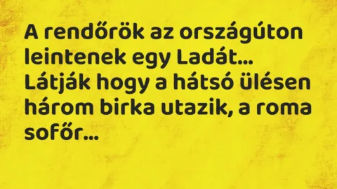 Vicc: A rendőrök az országúton leintenek egy Ladát. Látják hogy a hátsó…