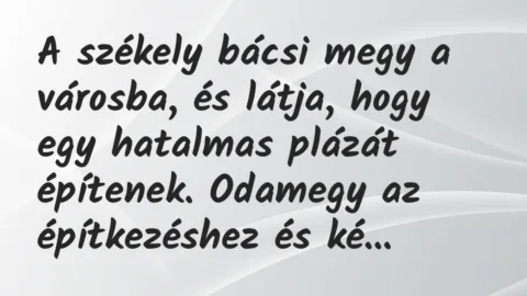 Vicc: A székely bácsi megy a városba, és látja, hogy egy hatalmas plázát építenek… Vicc: A székely bácsi megy a városba, és látja, hogy egy hatalmas plázát építenek…